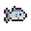 Dace