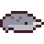Narwhal
