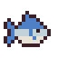 Shad