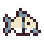 Skeleton Carp
