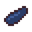 Mussel Shell