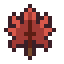 Red Maple Leaf